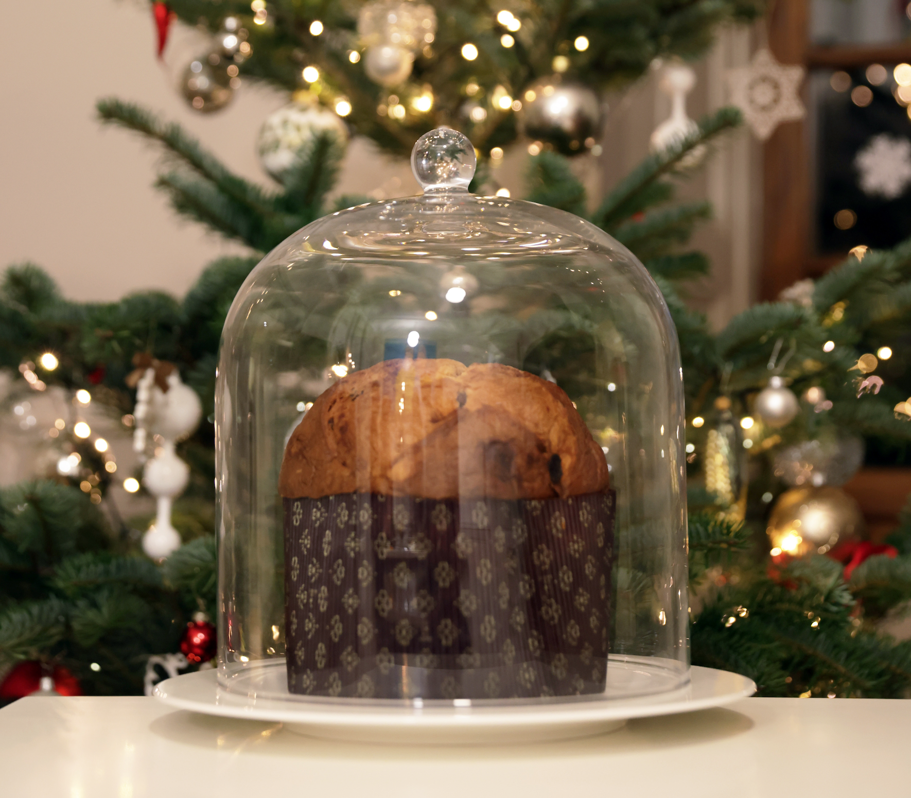 Panettone